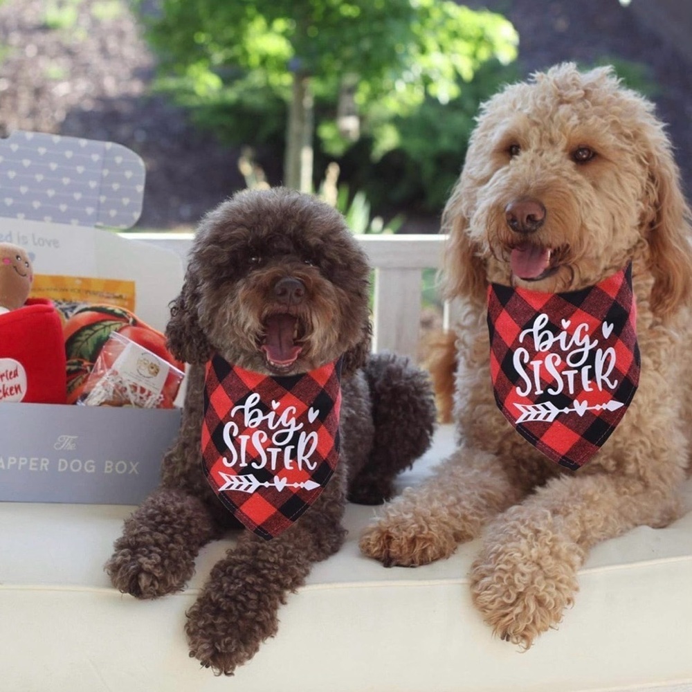 2 for $30 | Big Sister Dog Bandana - Red and Black Plaid